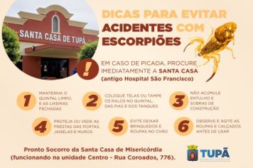 Saúde reforça que vítimas de acidente com escorpião devem procurar atendimento na Santa Casa/ Centro