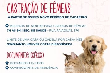 Tupã oferece serviço gratuito de castração para animais domésticos