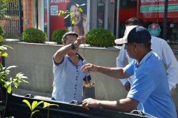 Dia do Meio Ambiente será comemorado com distribuição de mudas