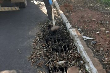 Limpezas de bocas de lobo e canais pluviais são intensificadas em Tupã