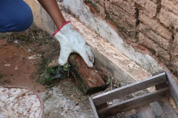 CCZ realiza ações estratégicas para eliminação de escorpiões