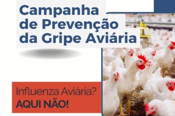 Tupã faz campanha de prevenção “Influenza Aviária? Aqui Não!”