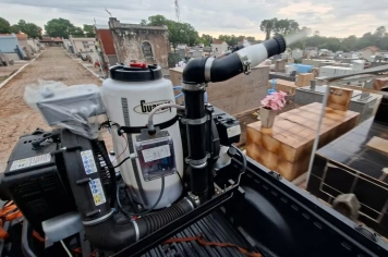 Ação combinada combate Aedes aegypti no cemitério da Saudade