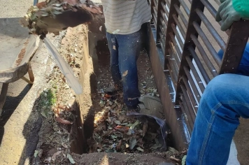 Limpeza de bocas de lobo evita inundações e elimina criadouros de Aedes