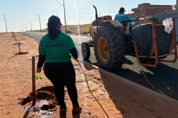 Conservação de áreas verdes mobiliza grande estrutura