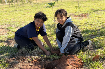 Educação ambiental enriquece currículo de estudantes da rede pública
