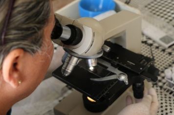 Dois casos de óbito suspeito por dengue foram negativados