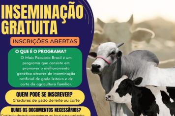 Pecuária Brasil abre inscrições para inseminação artificial em 2024