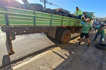 Coleta de pneus auxilia no combate a arboviroses e tem impacto ambiental positivo