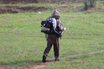 Trabalho criterioso garante redução de quase 100% no número de casos de chikungunya