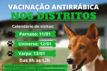 Vacinação antirrábica nos distritos acontece a partir dessa terça-feira