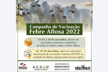 Campanha de vacinação da febre aftosa começa em Tupã