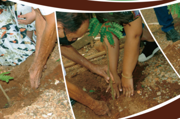 92 árvores serão plantadas em homenagem ao aniversário de Tupã