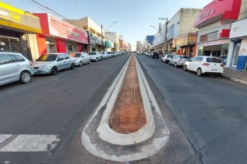 Revitalização da Tamoios vai permitir segurança, permeabilidade e equilíbrio do microclima