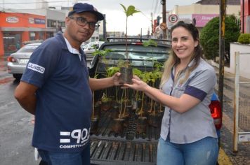 Prefeitura distribui mudas em comemoração ao Dia da Árvore