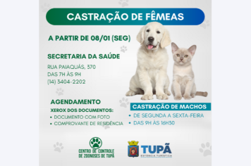 Saúde abre 200 vagas para castração de fêmeas nesta segunda-feira