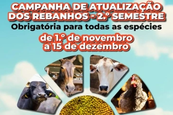 Campanha de atualização do rebanho segue até 15 de dezembro