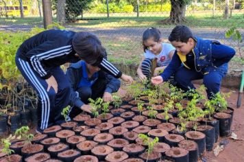Quase 340 mudas foram plantadas em Tupã na Semana do Meio Ambiente