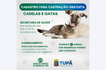 Prefeitura amplia números para castrações de gatas e cadelas