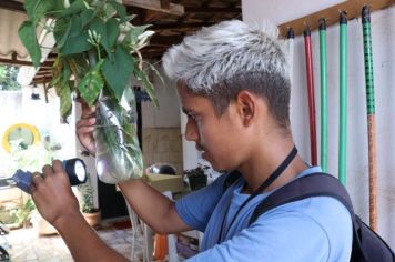 Ação de combate à dengue encontra 57 imóveis com criadouros do Aedes aegypti