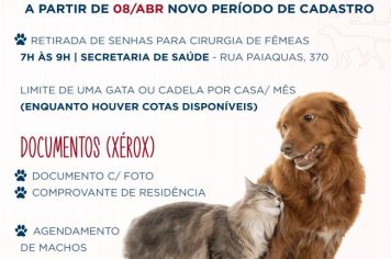 Programa de castração gratuita de cães e gatos está com agenda aberta