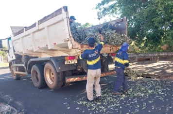 Força-tarefa reúne secretarias municipais para serviços de limpeza, manutenção e combate ao mosquito Aedes aegypti