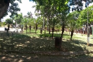 Serviços de roçada e limpeza continuam no município