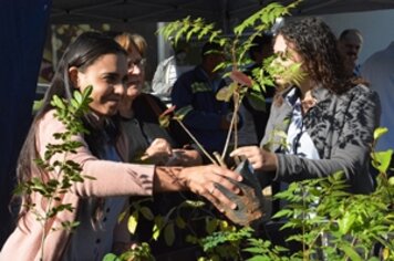 Prefeitura distribui mudas para população no Dia do Meio Ambiente