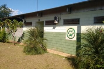 CCZ divulga balanço de 2019