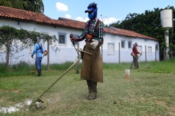 Prefeitura realiza roçada em diversos espaços públicos do município
