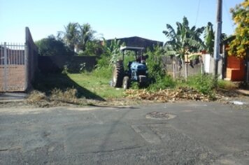 Prefeitura inicia mutirão de limpeza de terrenos particulares