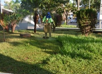 Prefeitura continua com mutirões de roçada em áreas privadas