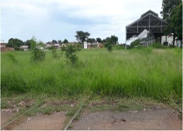 JUSTIÇA OBRIGA “RUMO” A LIMPAR LATERAIS DA LINHA FÉRREA EM TUPÃ