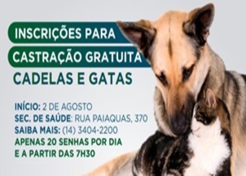 Zoonoses distribuirá 20 senhas por dia para agendamento de castração de fêmeas