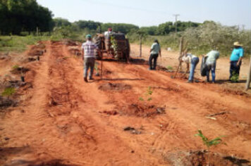Meio Ambiente realiza reflorestamento em área de preservação permanente