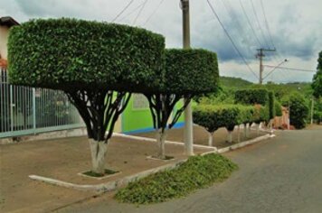 Corte e poda de árvores exige autorização da Prefeitura