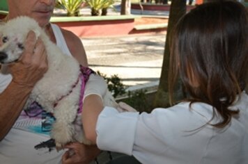 Campanha de vacinação antirrábica acontecerá de 4 a 29 de setembro