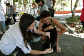 Prefeitura estende vacinação antirrábica até dezembro