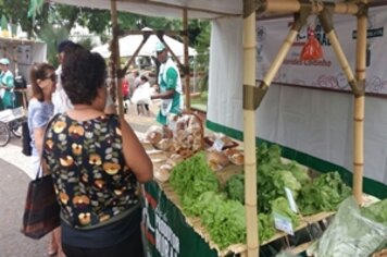 Feira do Produtor supera todas as expectativas