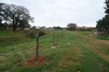 Prefeitura realiza limpeza em várias pontes da cidade