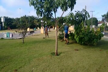 Prefeitura segue com trabalho de limpeza dos locais públicos