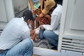 Saúde inicia “Semana de Prevenção da Leishmaniose Visceral”