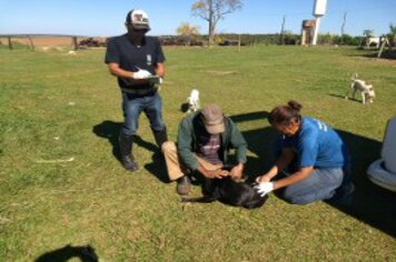 Hoje tem corte de cabelo gratuito na Praça da Bandeira