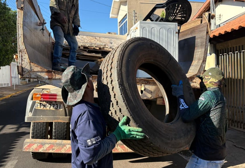 Em quatro dias, mutirão cobre os mais de 50 quilômetros quadrados do perímetro urbano