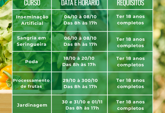Sindicato Rural abre inscrições para 5 cursos gratuitos