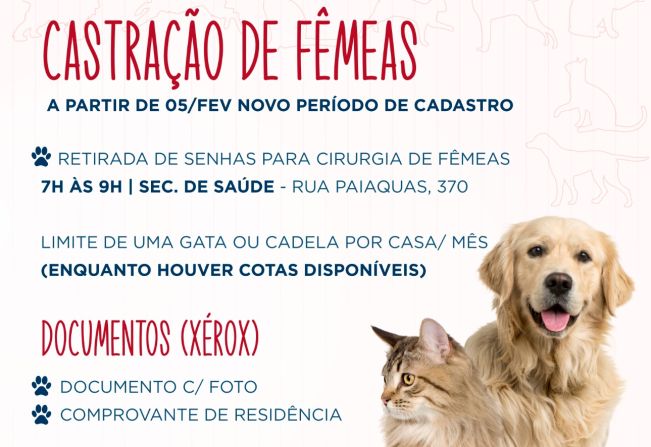 Tupã oferece serviço gratuito de castração para animais domésticos