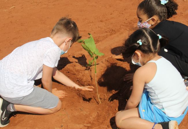 Prefeitura alerta sobre a obrigatoriedade do plantio de mudas