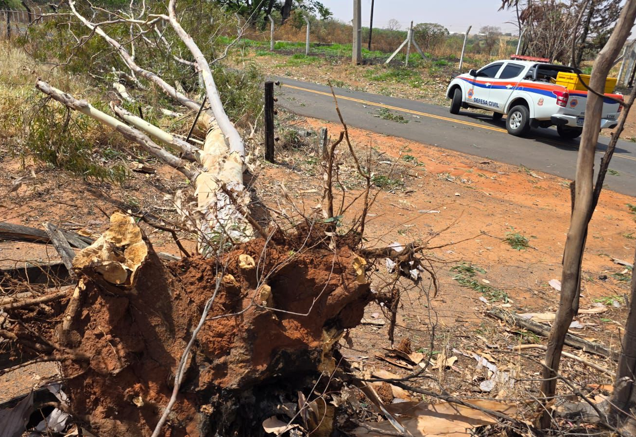 Defesa Civil registra ventos de 76 km/h em Tupã