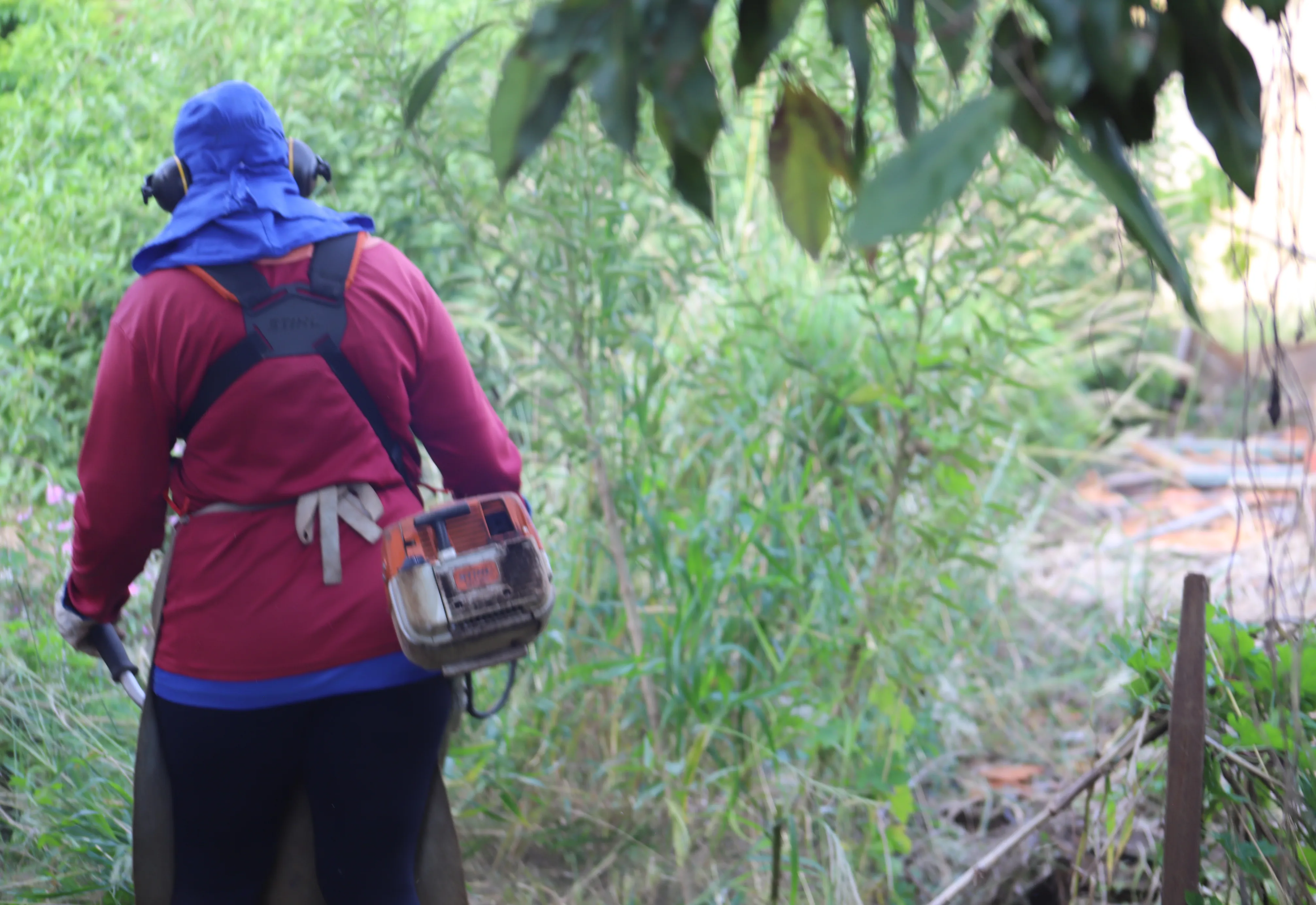 Proprietários de terrenos com mato alto têm 15 dias para realizar limpeza
