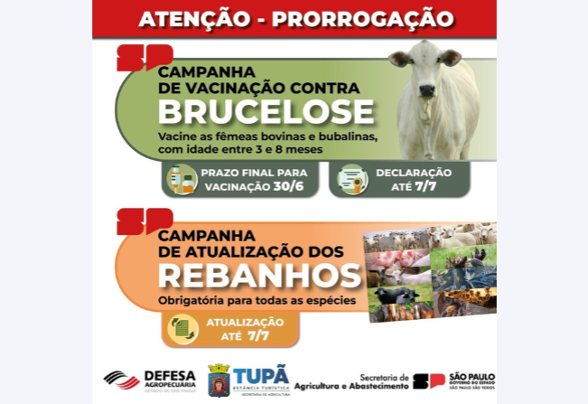 Campanha de Vacinação contra a brucelose foi prorrogada